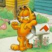 Garfield 2